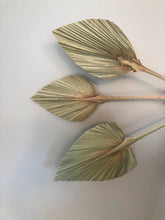 Load image into Gallery viewer, Natural Palm Spear