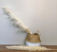 Load image into Gallery viewer, Natural Ivory Pampas Grass