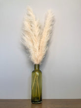 Load image into Gallery viewer, Natural Ivory Pampas Grass