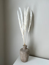 Load image into Gallery viewer, Mini Cream Pampas Grass