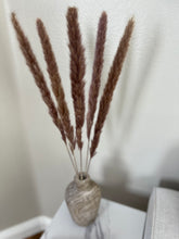 Load image into Gallery viewer, Mini Brown Pampas