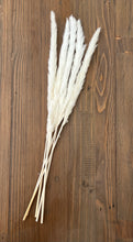 Load image into Gallery viewer, Mini Cream Pampas Grass