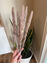 Load image into Gallery viewer, Mini Brown Pampas