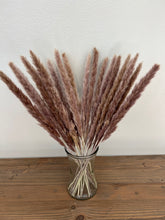 Load image into Gallery viewer, Mini Brown Pampas