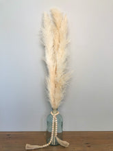 Load image into Gallery viewer, Natural Ivory Pampas Grass