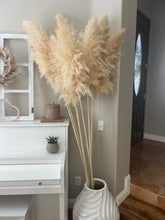 Load image into Gallery viewer, California Pampas Grass
